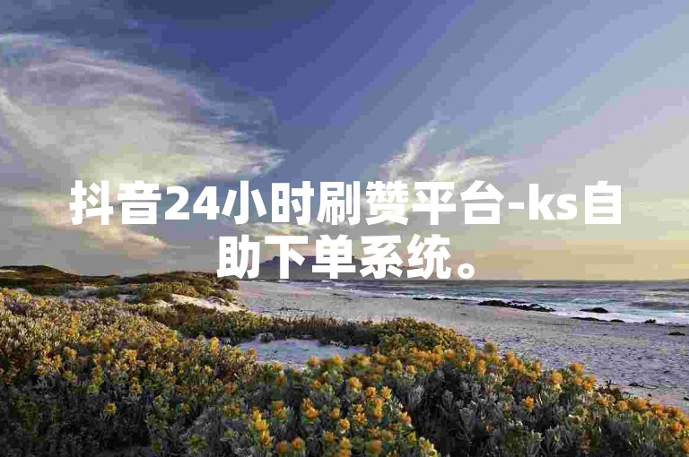 抖音24小时刷赞平台-ks自助下单系统。