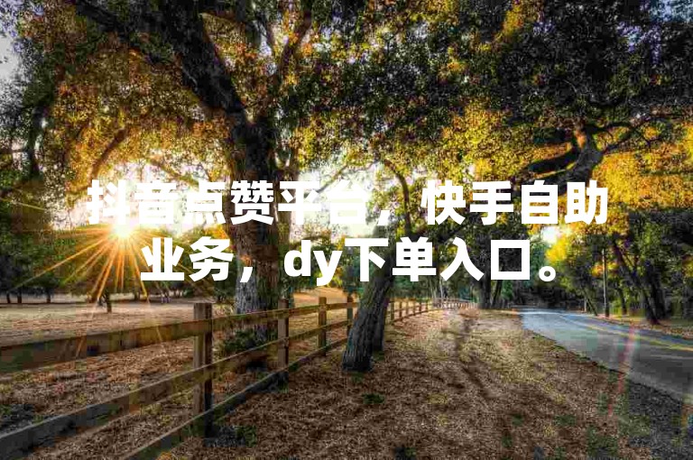 抖音点赞平台，快手自助业务，dy下单入口。