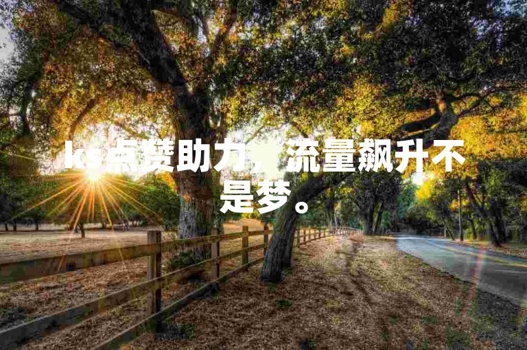 ks点赞助力，流量飙升不是梦。