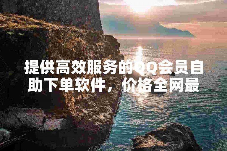 提供高效服务的QQ会员自助下单软件，价格全网最低。