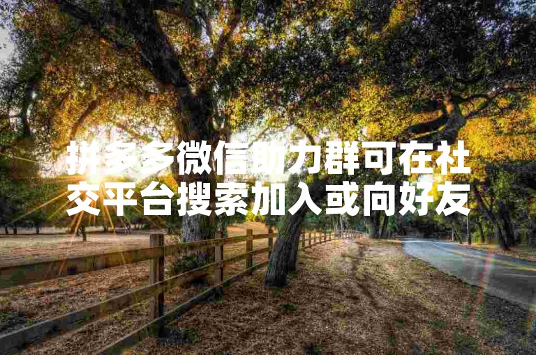 拼多多微信助力群可在社交平台搜索加入或向好友询问获取。