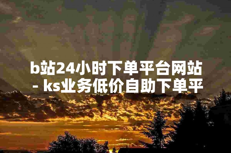 b站24小时下单平台网站 - ks业务低价自助下单平台网站。