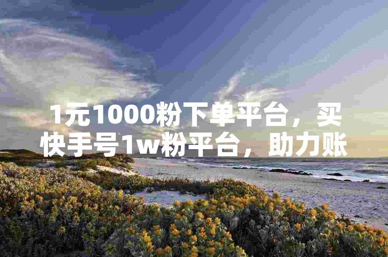 1元1000粉下单平台，买快手号1w粉平台，助力账号快速涨粉！