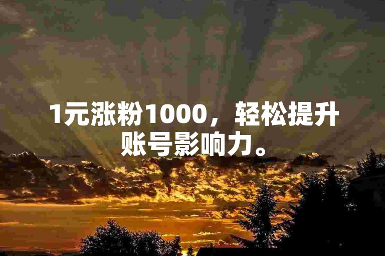 1元涨粉1000，轻松提升账号影响力。