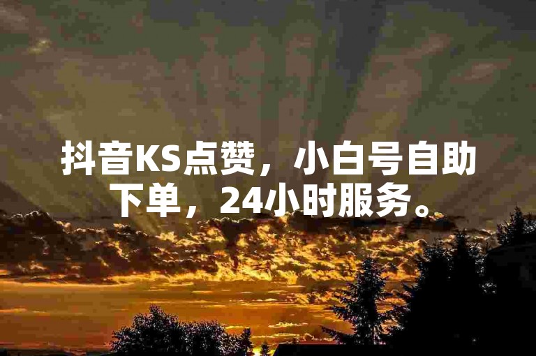 抖音KS点赞，小白号自助下单，24小时服务。