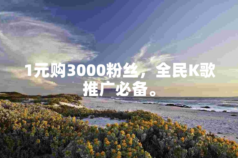 1元购3000粉丝，全民K歌推广必备。