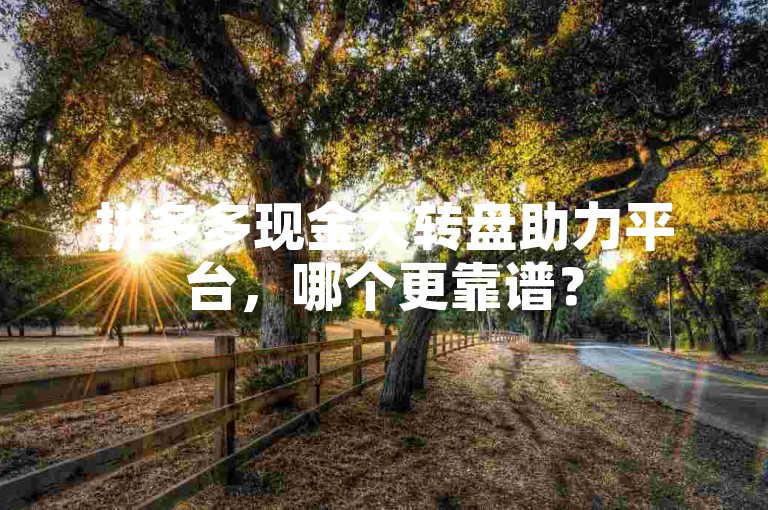 拼多多现金大转盘助力平台，哪个更靠谱？