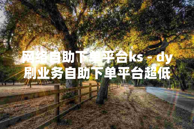网络自助下单平台ks - dy刷业务自助下单平台超低价