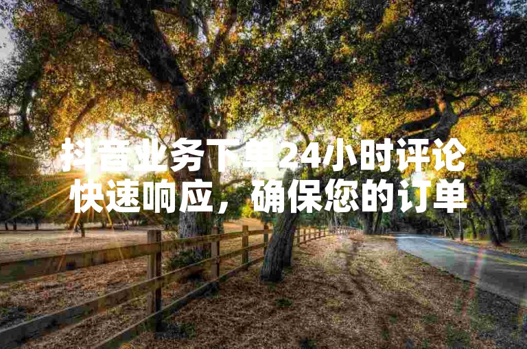 抖音业务下单24小时评论 快速响应，确保您的订单评论及时完成！
