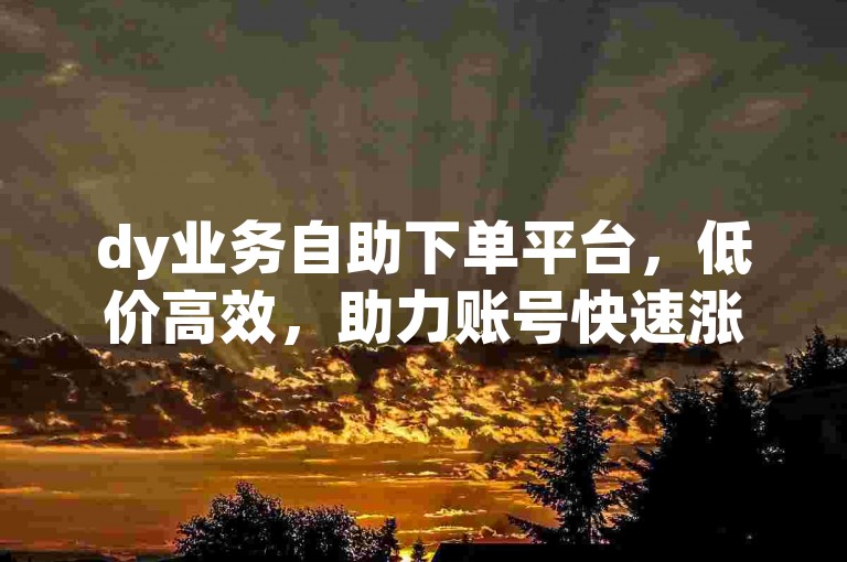 dy业务自助下单平台，低价高效，助力账号快速涨粉。