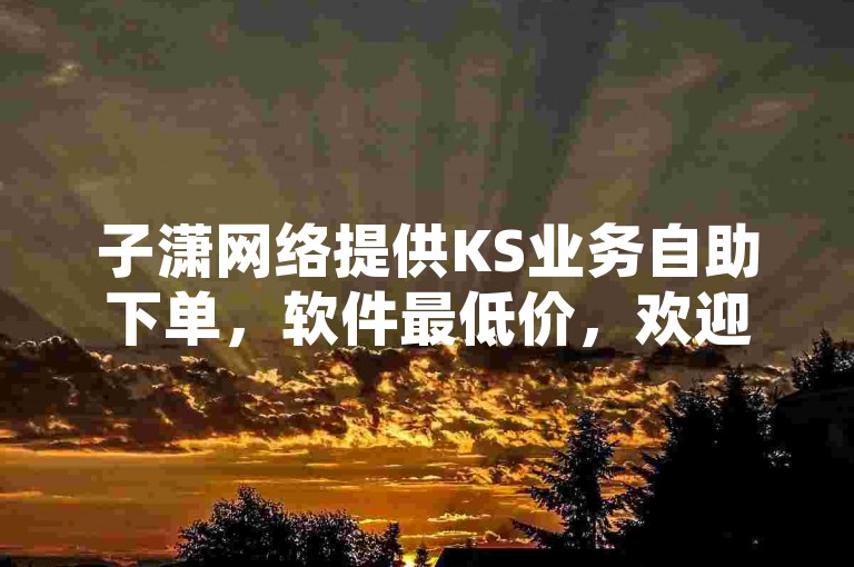 子潇网络提供KS业务自助下单，软件最低价，欢迎选购。