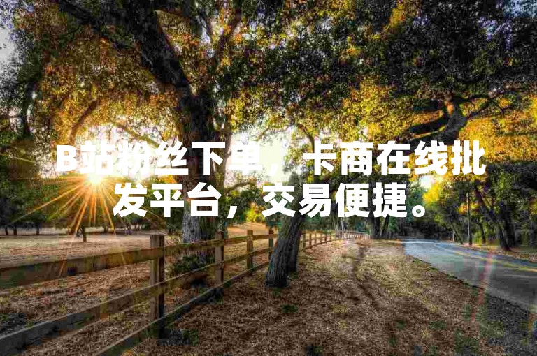 B站粉丝下单，卡商在线批发平台，交易便捷。
