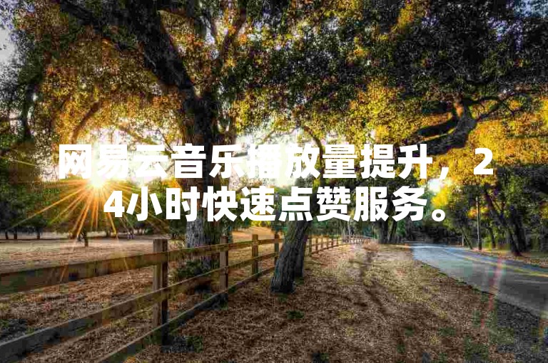网易云音乐播放量提升，24小时快速点赞服务。