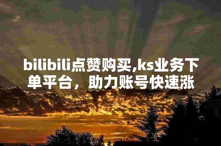bilibili点赞购买,ks业务下单平台，助力账号快速涨粉。