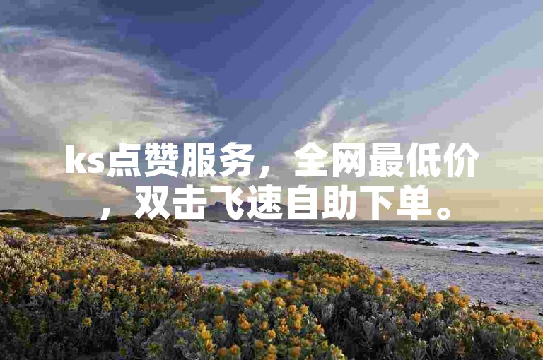 ks点赞服务，全网最低价，双击飞速自助下单。