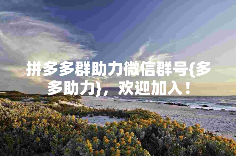 拼多多群助力微信群号{多多助力}，欢迎加入！
