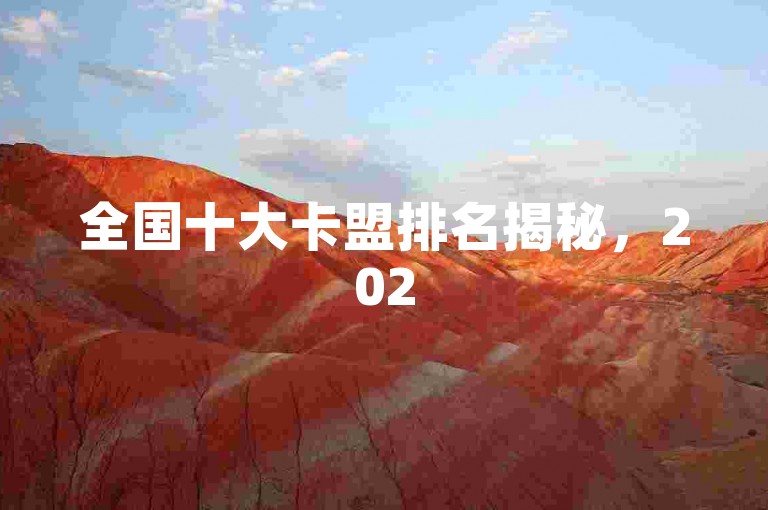 全国十大卡盟排名揭秘，2025年信用卡联盟必知榜单！