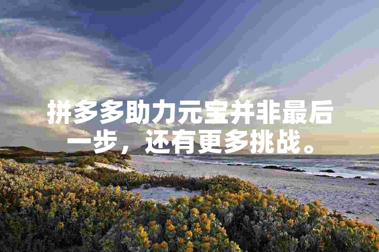 拼多多助力元宝并非最后一步，还有更多挑战。