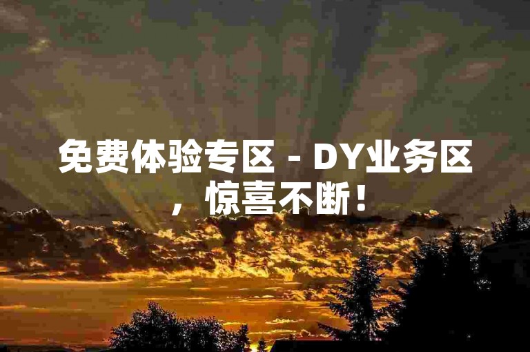 免费体验专区 - DY业务区，惊喜不断！