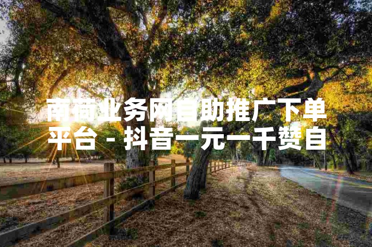 南荷业务网自助推广下单平台 - 抖音一元一千赞自助下单