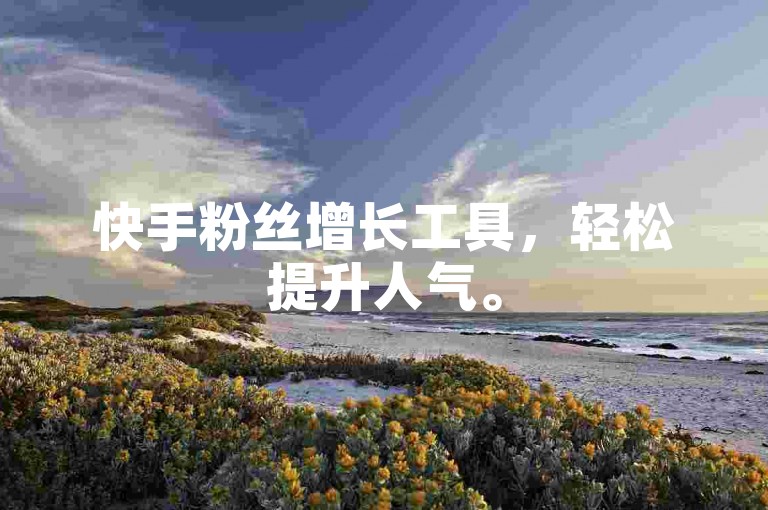 快手粉丝增长工具，轻松提升人气。