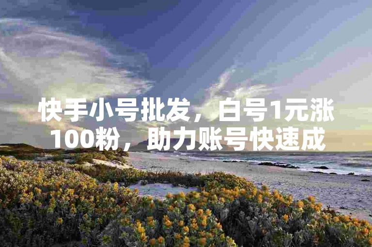 快手小号批发，白号1元涨100粉，助力账号快速成长。