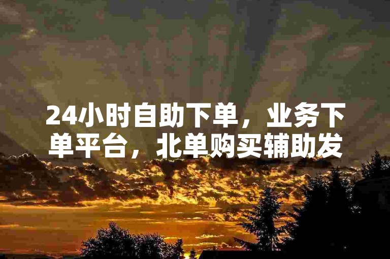 24小时自助下单，业务下单平台，北单购买辅助发卡网。