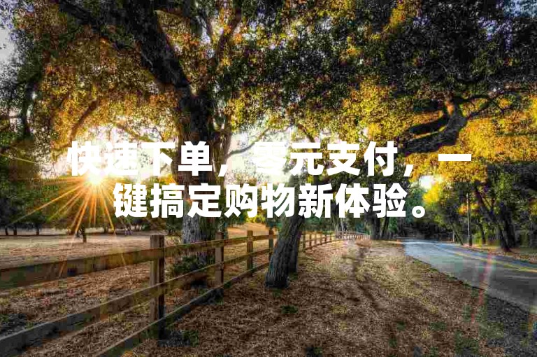 快速下单，零元支付，一键搞定购物新体验。