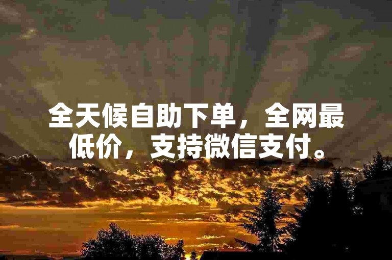 全天候自助下单，全网最低价，支持微信支付。