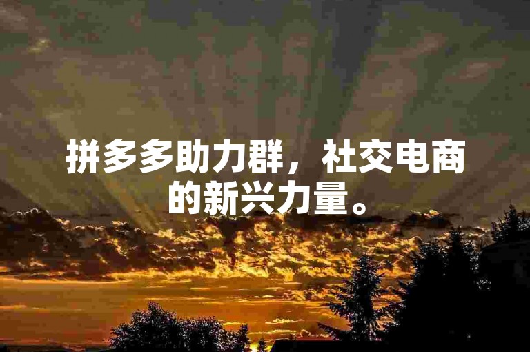 拼多多助力群，社交电商的新兴力量。