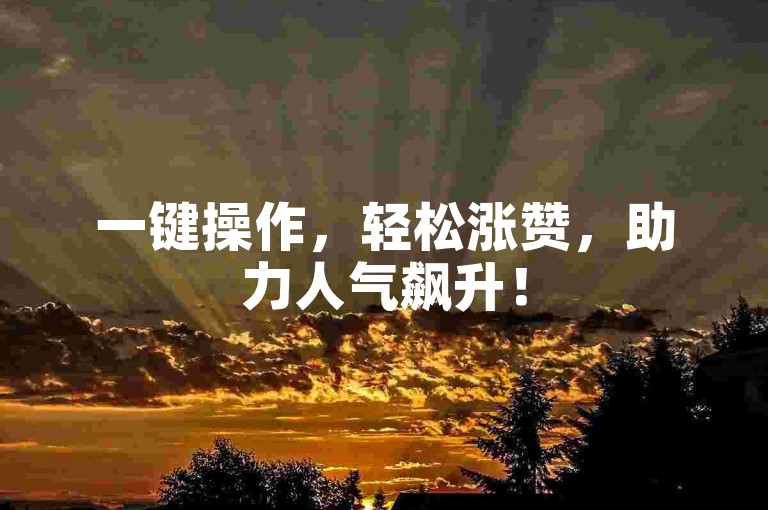 一键操作，轻松涨赞，助力人气飙升！