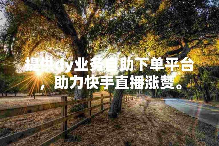 提供dy业务自助下单平台，助力快手直播涨赞。