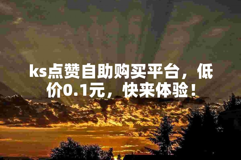 ks点赞自助购买平台，低价0.1元，快来体验！