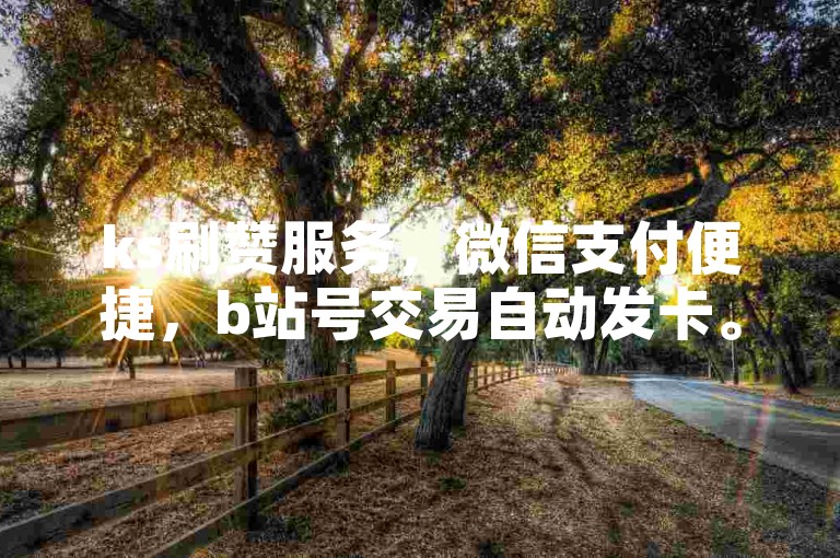 ks刷赞服务，微信支付便捷，b站号交易自动发卡。