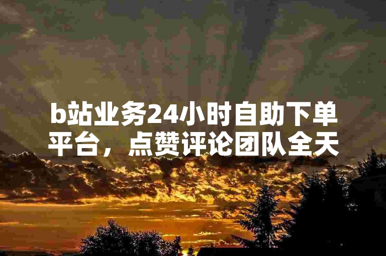 b站业务24小时自助下单平台，点赞评论团队全天候服务。