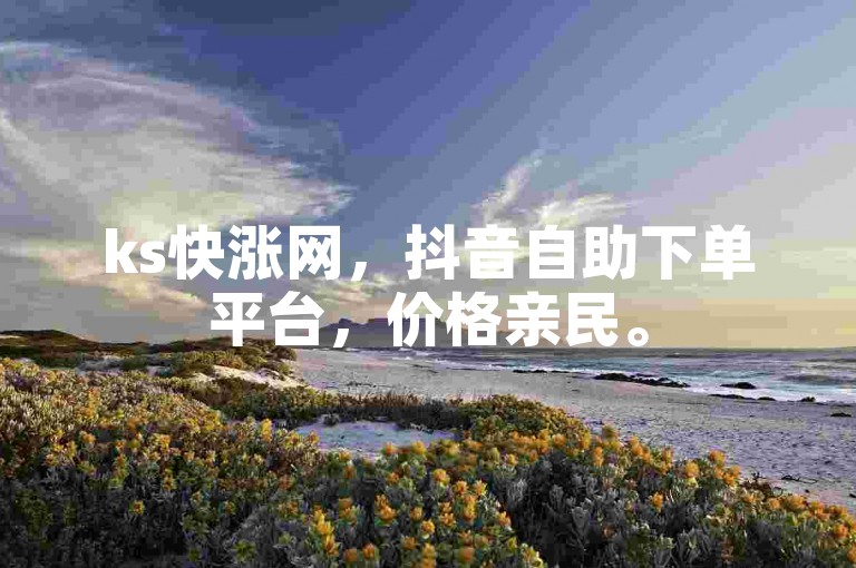 ks快涨网，抖音自助下单平台，价格亲民。