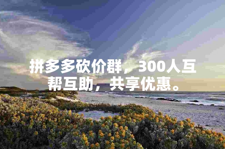 拼多多砍价群，300人互帮互助，共享优惠。