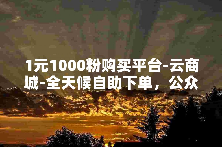 1元1000粉购买平台-云商城-全天候自助下单，公众号便捷服务。