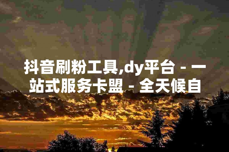 抖音刷粉工具,dy平台 - 一站式服务卡盟 - 全天候自助下单平台