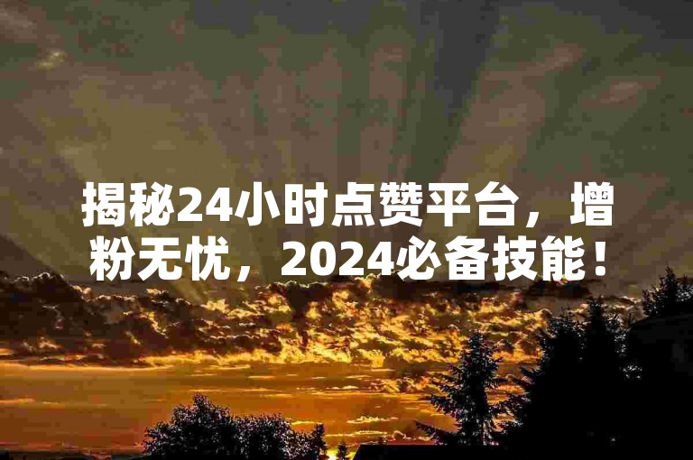 揭秘24小时点赞平台，增粉无忧，2024必备技能！