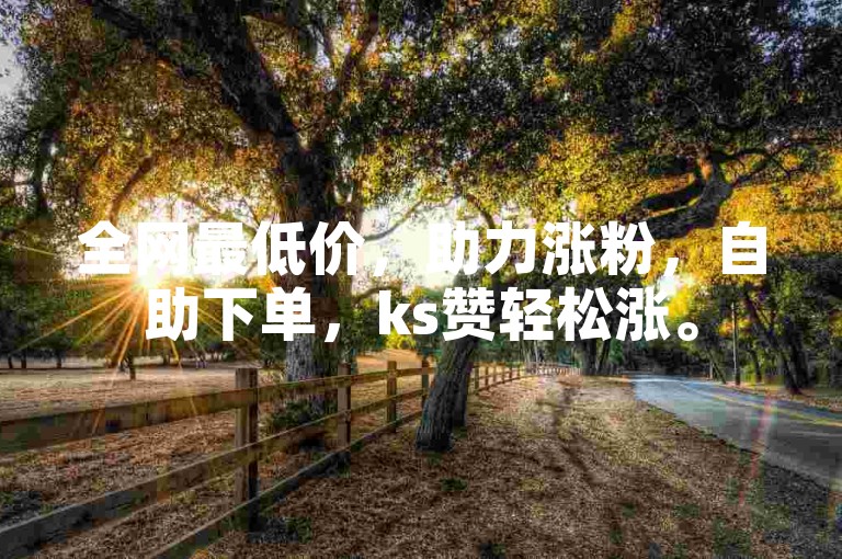 全网最低价，助力涨粉，自助下单，ks赞轻松涨。