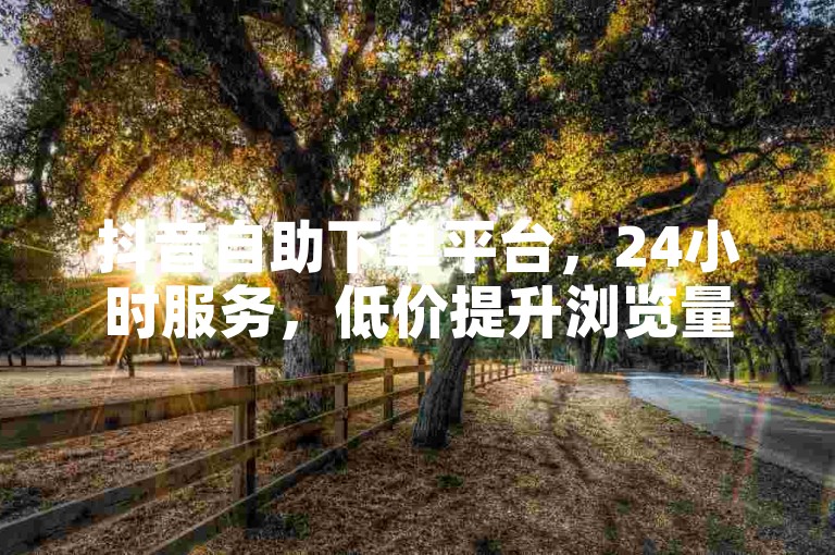 抖音自助下单平台，24小时服务，低价提升浏览量。