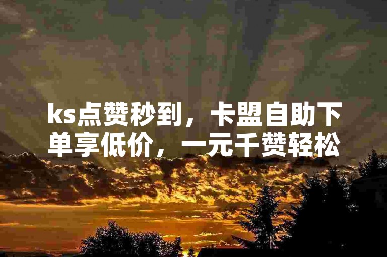 ks点赞秒到，卡盟自助下单享低价，一元千赞轻松得。