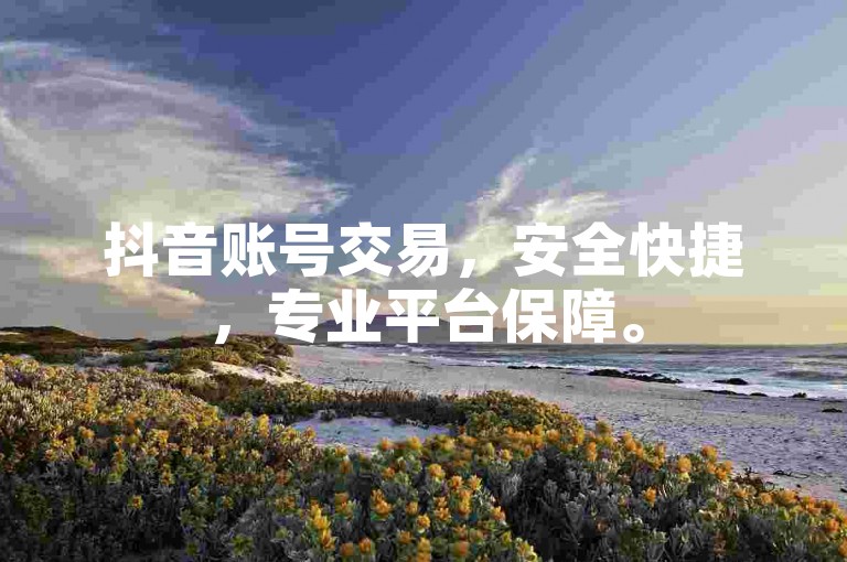 抖音账号交易，安全快捷，专业平台保障。