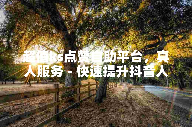 超值ks点赞自助平台，真人服务 - 快速提升抖音人气。