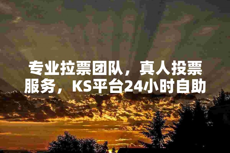 专业拉票团队，真人投票服务，KS平台24小时自助下单。