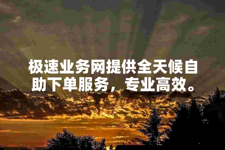 极速业务网提供全天候自助下单服务，专业高效。