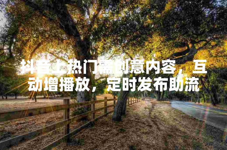 抖音上热门需创意内容，互动增播放，定时发布助流量。