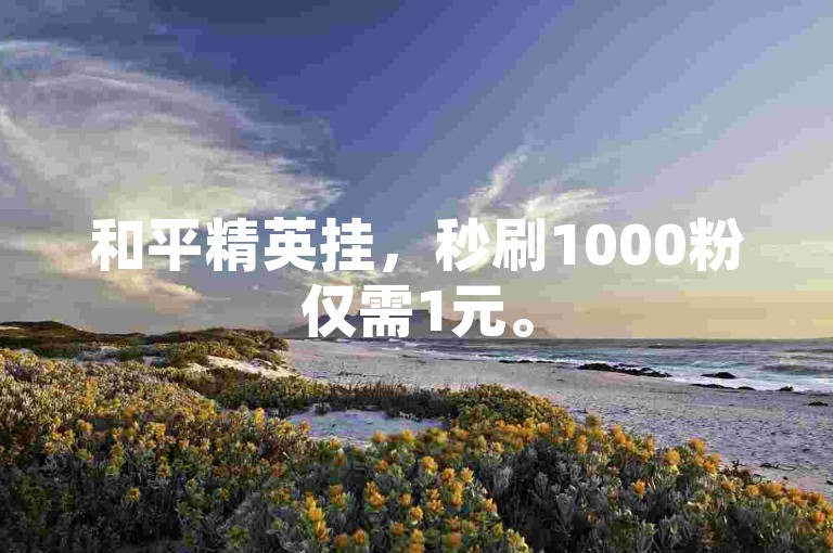 和平精英挂，秒刷1000粉仅需1元。