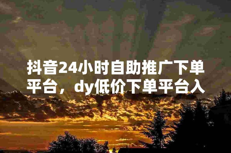 抖音24小时自助推广下单平台，dy低价下单平台入口。
